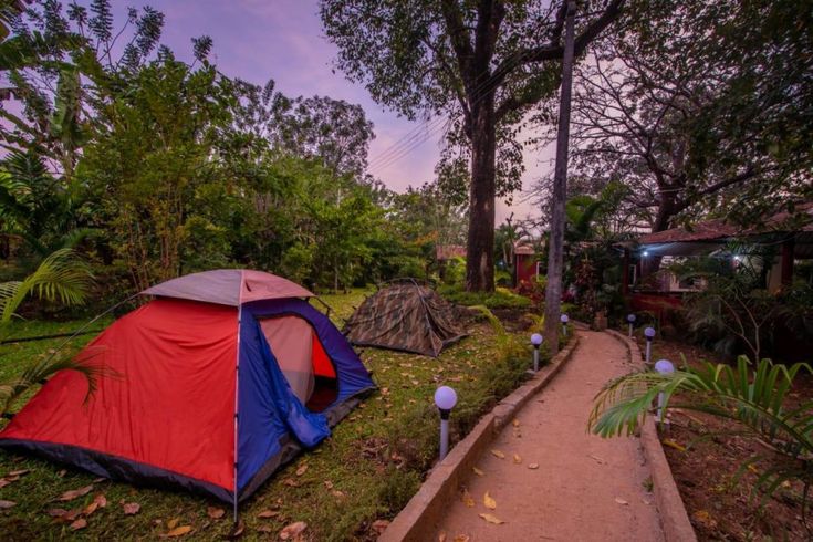 🌴🦜 jungle resort dandeli your ultimate nature…