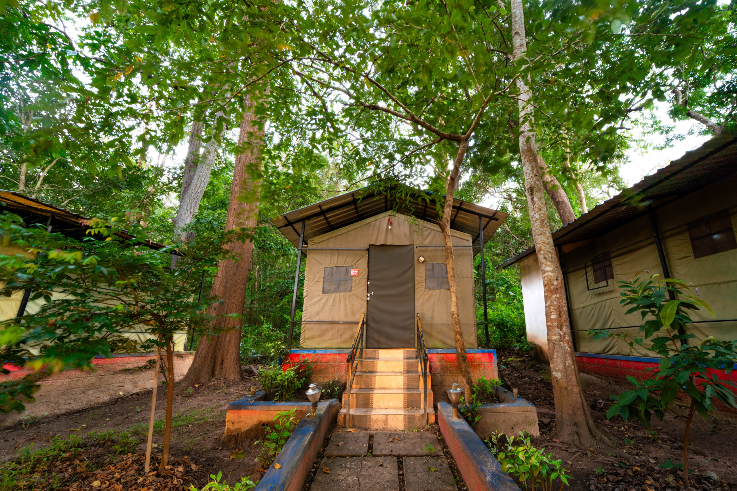 Dandeli resorts | Best resort in Dandeli | Best Dandeli resorts | Resorts in Dandeli | Dandeli resort | Dandeli Jungle Resort | dandeli River Resort